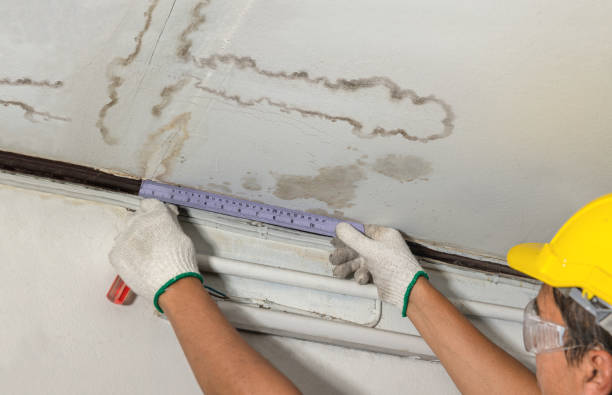 Affordable Water Damage Repair solutions in Glen White, WV